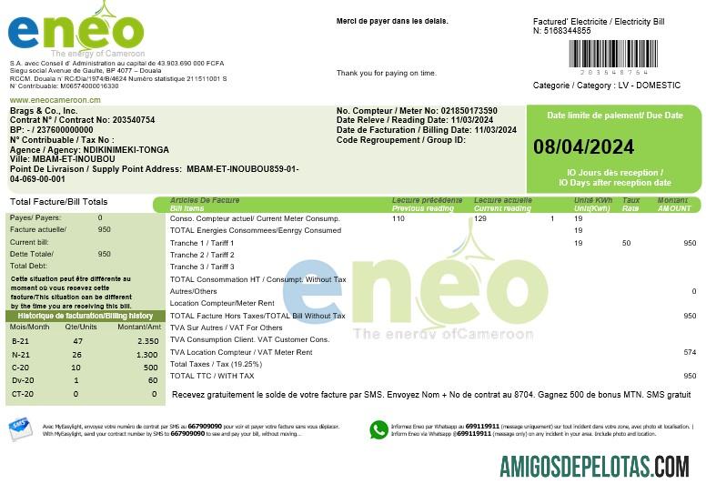 Premium Kamerun ENEO Listrik bisnis Tagihan Tagihan templat in Word