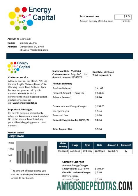 Premium Chili Energy Capital bisnis Tagihan Tagihan templat in Word and PDF format