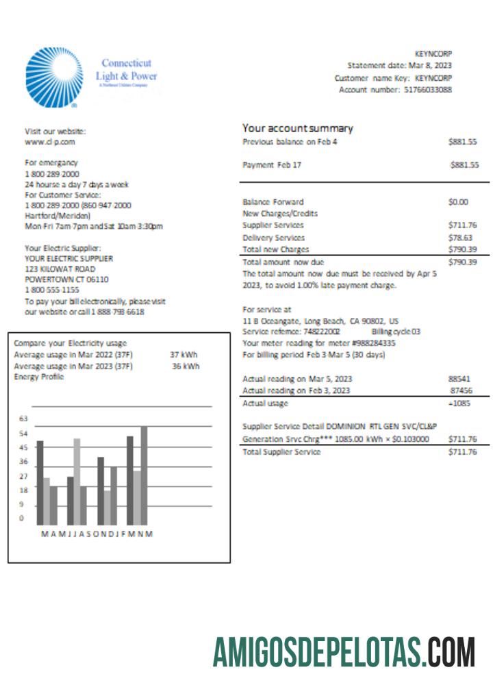 Connecticut Light & Power Listrik Tagihan bisnis Tagihan, SCR pratinjau