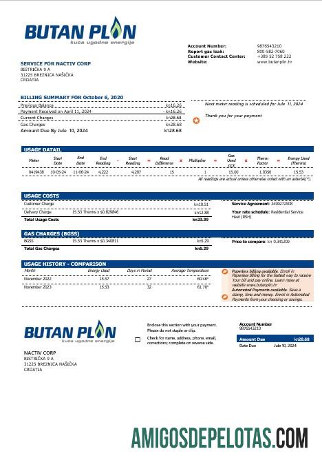 Dapat Diedit Kroasia BUTAN PLIN doo Gas bisnis Tagihan Tagihan templat in Word and pfd format