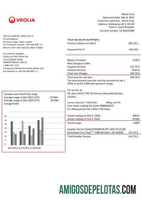Ceko Veolia Energy Republik Ceko energy bisnis Tagihan Tagihan in Word and PDF formats1 sampel