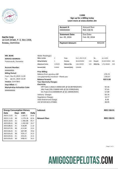Dominika Listrik Services Limited Listrik bisnis Tagihan Tagihan Word and PDF format pratinjau