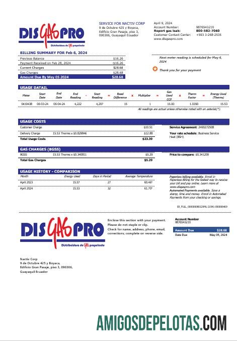 Profesional Ekuador Disgaspro Gas bisnis Tagihan Tagihan templat in Word and PDF format