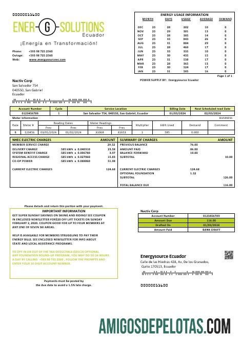 Profesional Ekuador Energysource Ekuador energy bisnis Tagihan Tagihan templat (2)