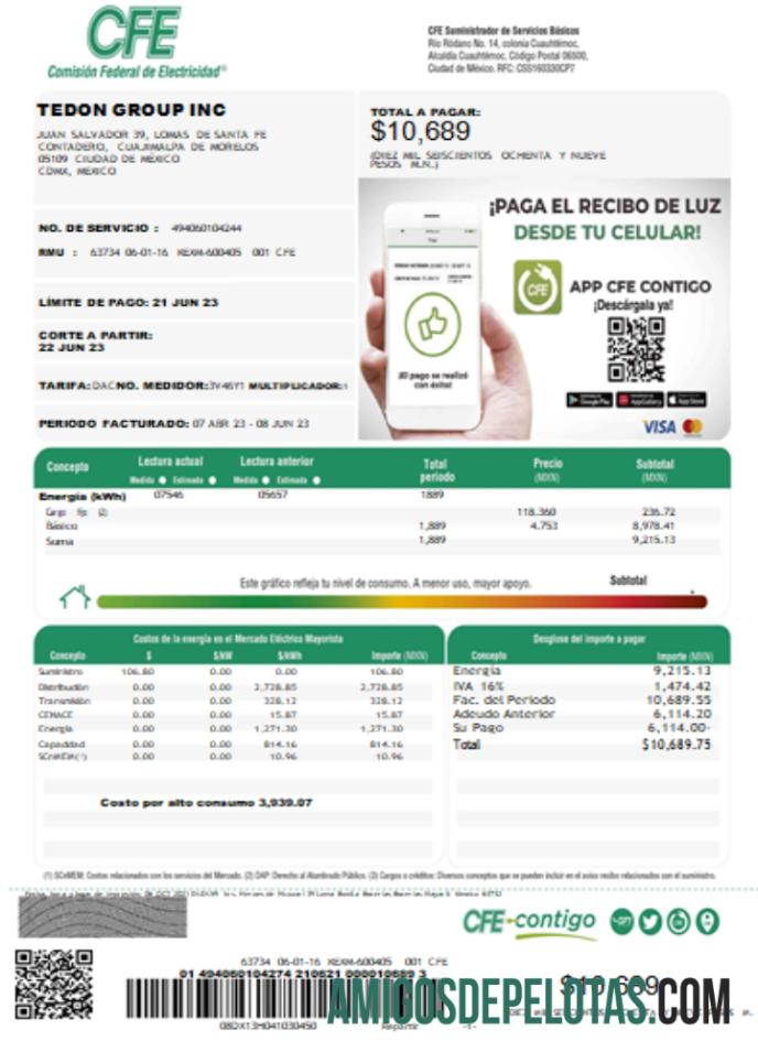 Federal Listrik Commission (CFE) Tagihan Tagihan SCR Halaman 1 makering