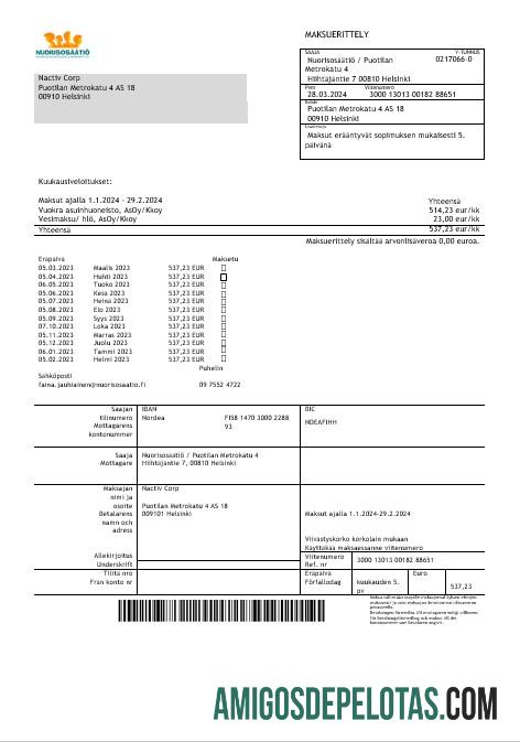 Realistis Finlandia Nuorisosa╠êa╠êtio╠ê Youth Foundation bisnis Tagihan templat in Word formats1
