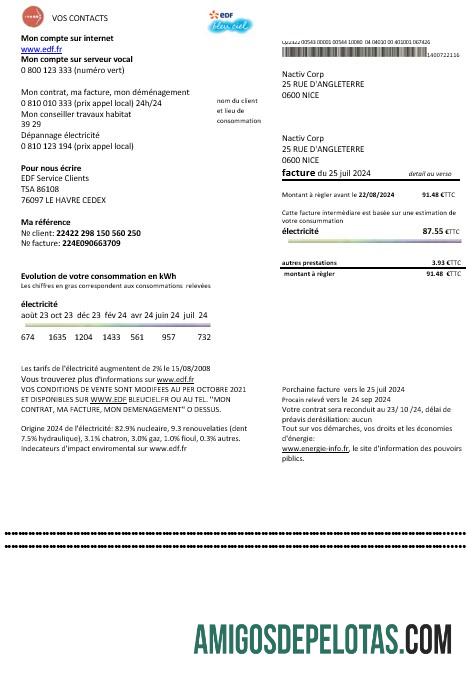 Dapat Diedit Prancis EDF proof of address bisnis Tagihan Tagihan templat in Word and PDF format