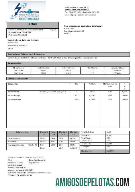 Realistis Prancis Energies & Services Re╠ügie Municipal dΓÇÖ Electricite╠ü Sarre serikat Listrik bisnis Tagihan Tagihan templat in Word and PDF format, fully editable1