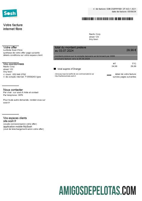 Realistis Prancis Sosh bisnis Tagihan Tagihan Word and PDF template1