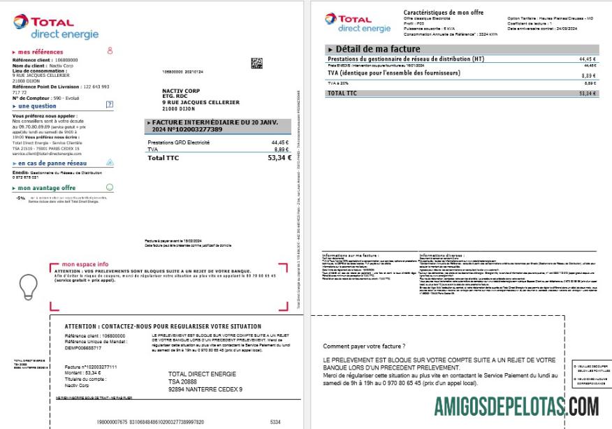 Profesional Prancis Total Direct Energie bisnis Tagihan Tagihan templat in Word and PDF formats1