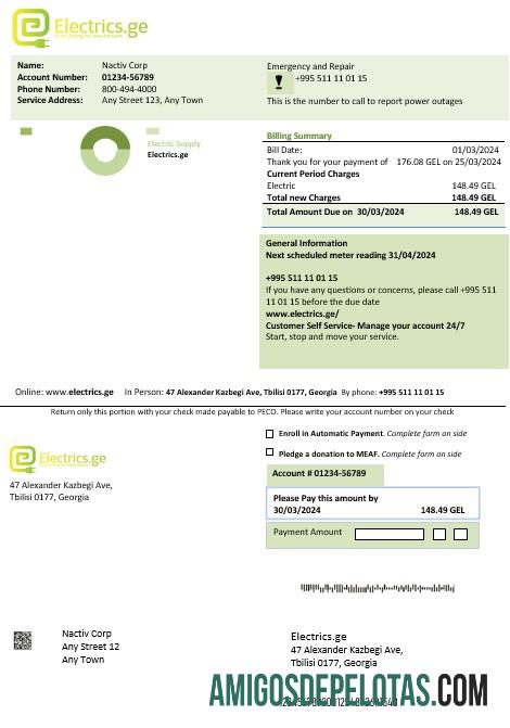 Realistis Georgia Electrics.ge Listrik bisnis Tagihan templat in Word and PDF formats1