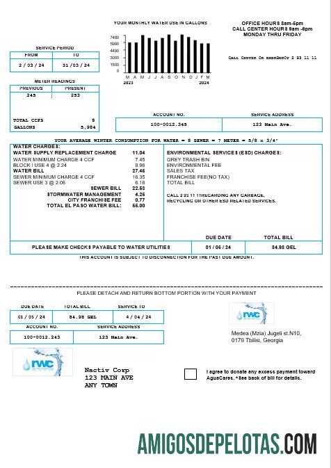 Dapat Diedit Georgia RWC Air bisnis Tagihan templat in Word and PDF formats1