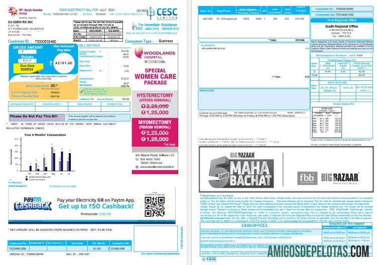 India CESC LIMITED bisnis Tagihan Tagihan Word and PDF templat