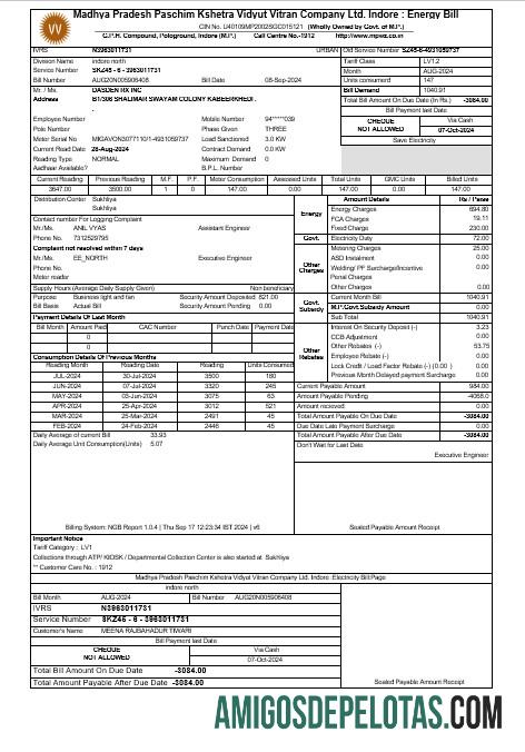 Premium India MPWZ bisnis Tagihan Tagihan Word and PDF templat
