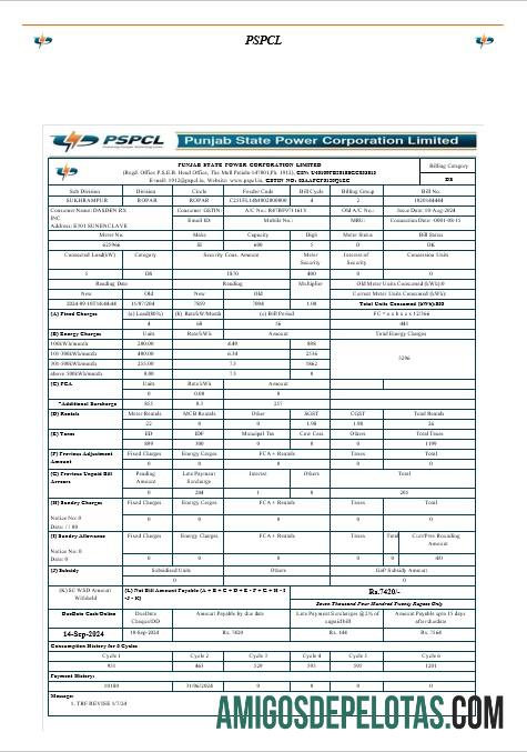 Premium India PSPCL bisnis Tagihan Tagihan Word and PDF templat ca╠üc trang ─æa╠â xo╠üa