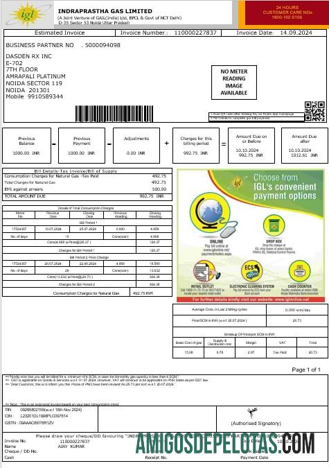 Realistis India IGL bisnis Tagihan Tagihan Word and PDF templat