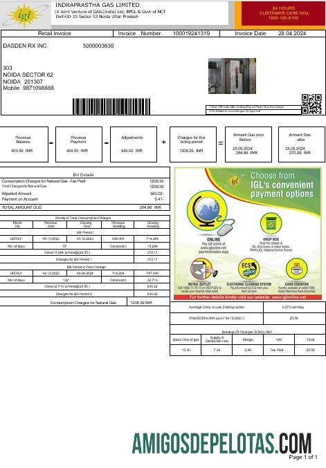 Profesional India INDRAPRASTHA Gas LIMITED bisnis Tagihan Tagihan templat in Word and PDF format