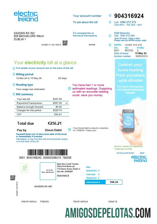 Premium Irlandia Electric Irlandia bisnis Tagihan Tagihan templat in Word and PDF format