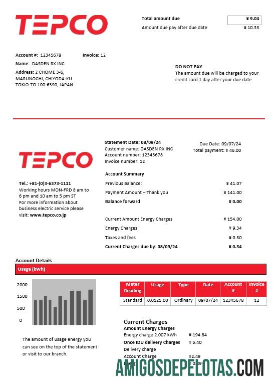 Realistis Jepang Tokyo Electric Power Perusahaan Listrik bisnis Tagihan Tagihan templat in Word and PDF format