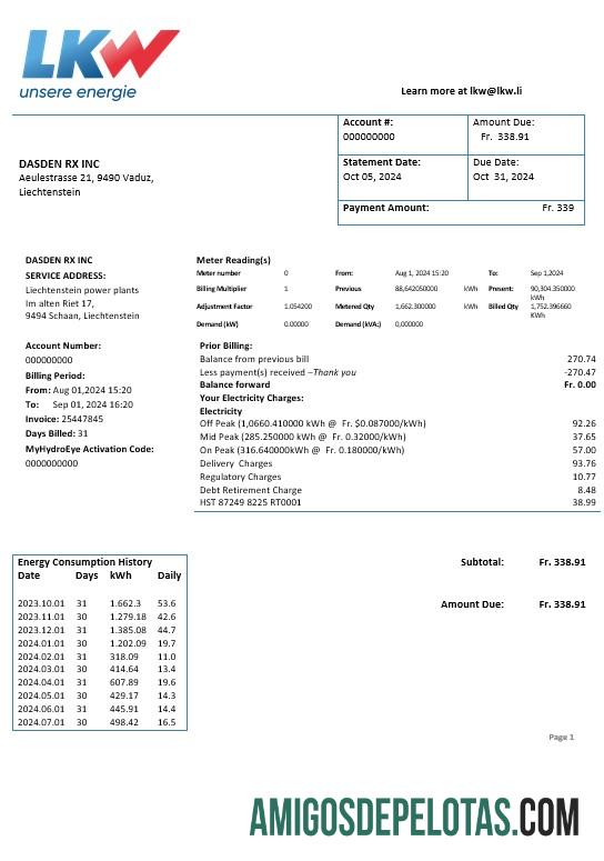 Profesional Liechtenstein Ische Kraftwerke (LKW) Listrik bisnis Tagihan Tagihan templat in Word and PDF format
