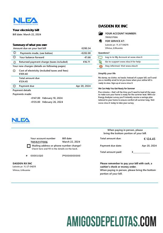 Berkualitas Lituania nasional Lithuanian Energy Association bisnis Tagihan Tagihan Word and PDF templat