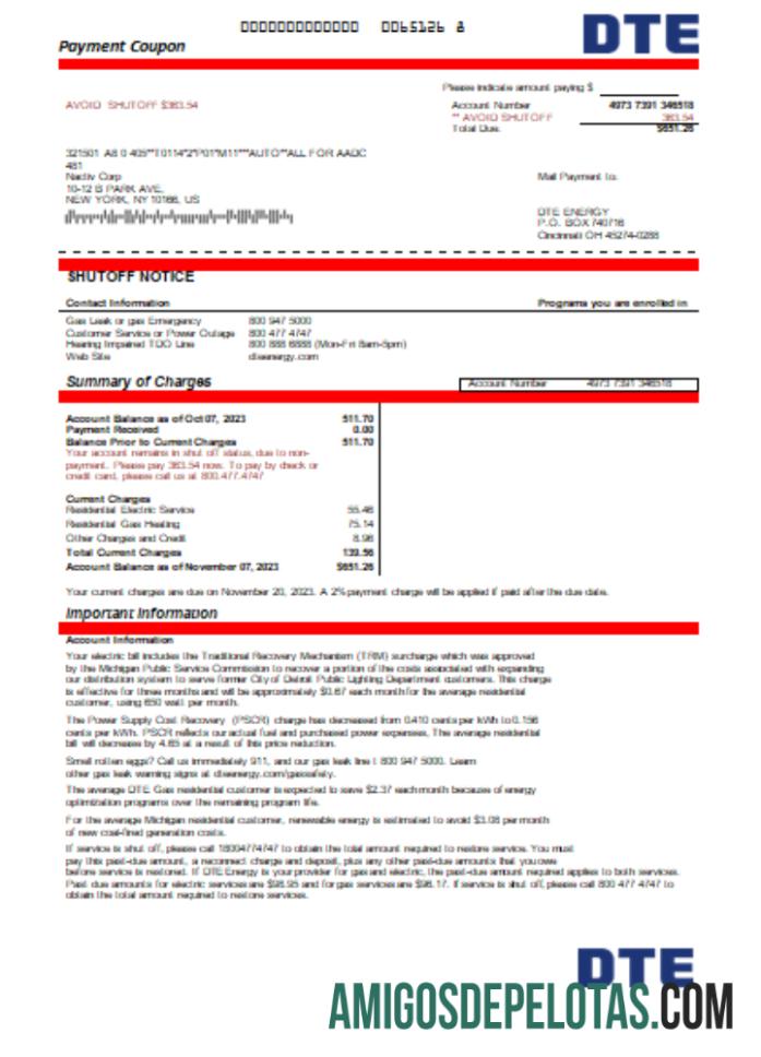 Premium Michigan DTE Energy Tagihan bisnis Tagihan, Word and PDF templat SCR