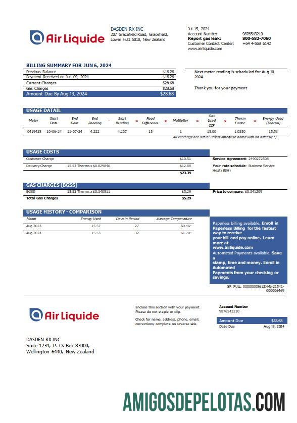 Profesional Selandia Baru Air Liquide Gas bisnis Tagihan Tagihan templat in Word and PDF format