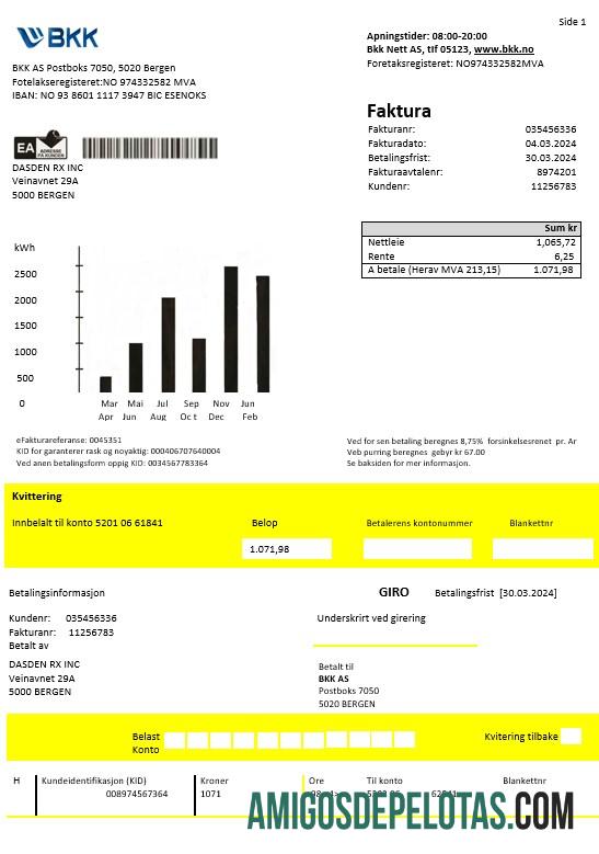 Premium Norwegia BKK Listrik bisnis Tagihan Tagihan templat in Word and PDF format, good for address prove