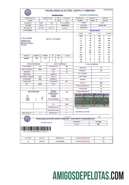 Premium Pakistan FAISALABAD bisnis Tagihan Tagihan Word and PDF templat
