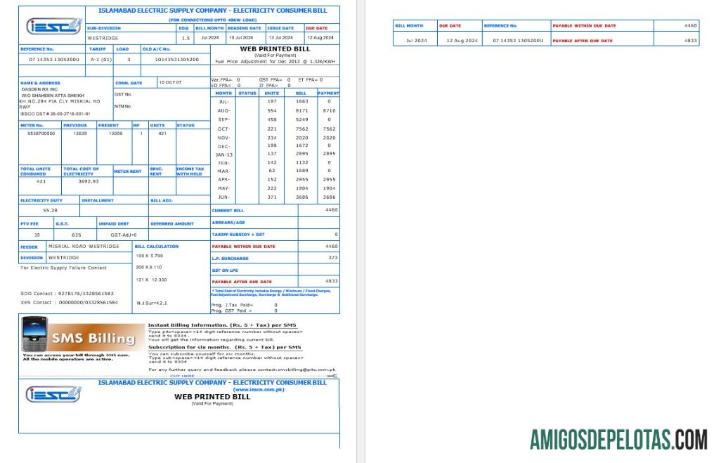 Berkualitas Pakistan IESC bisnis Tagihan Tagihan Word and PDF templat