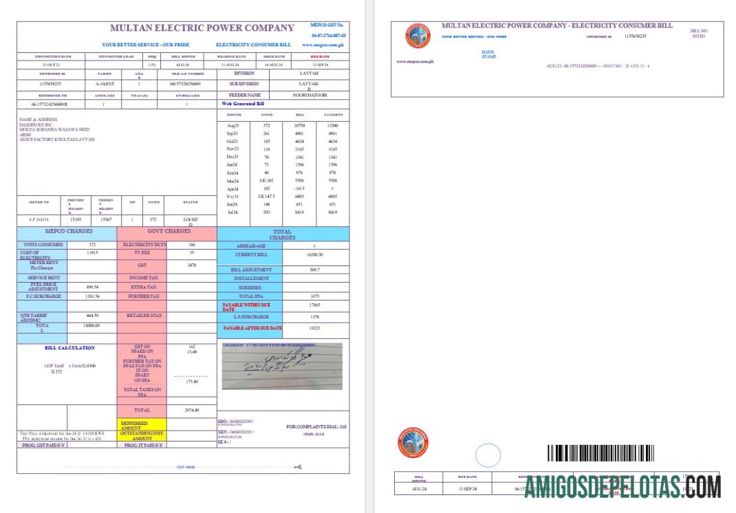 Dapat Diedit Pakistan MULTAN ELECTRIC POWER bisnis Tagihan Tagihan Word and PDF templat, versi 2