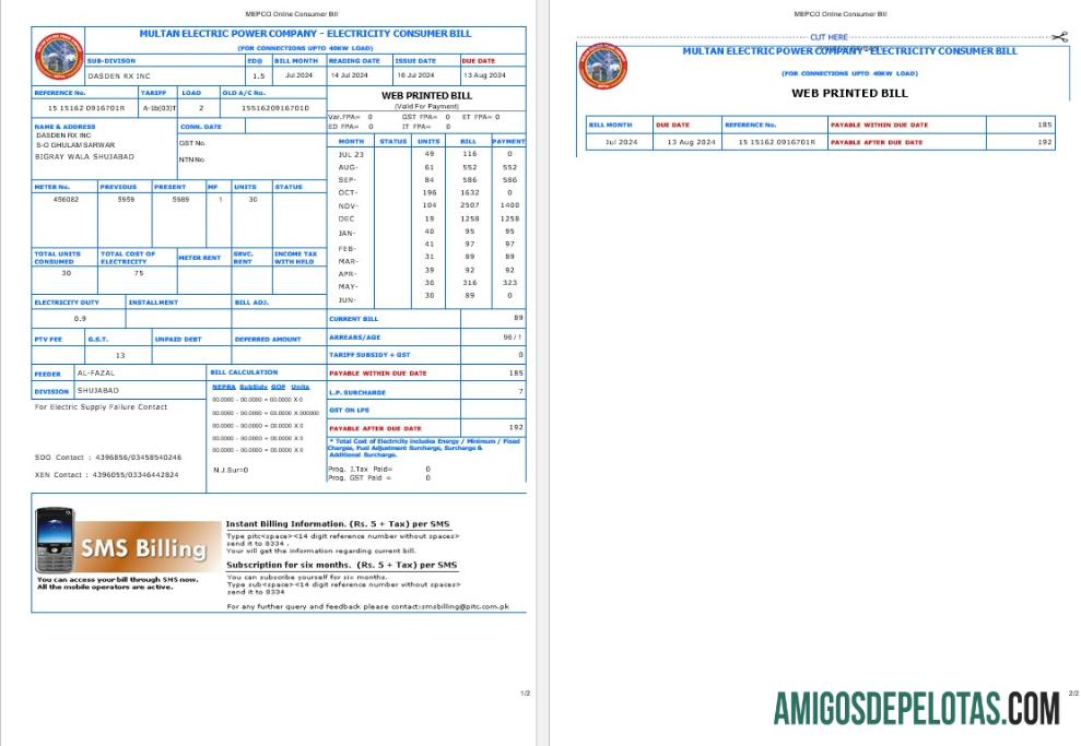 Profesional Pakistan MULTAN ELECTRIC POWER bisnis Tagihan Tagihan Word and PDF templat