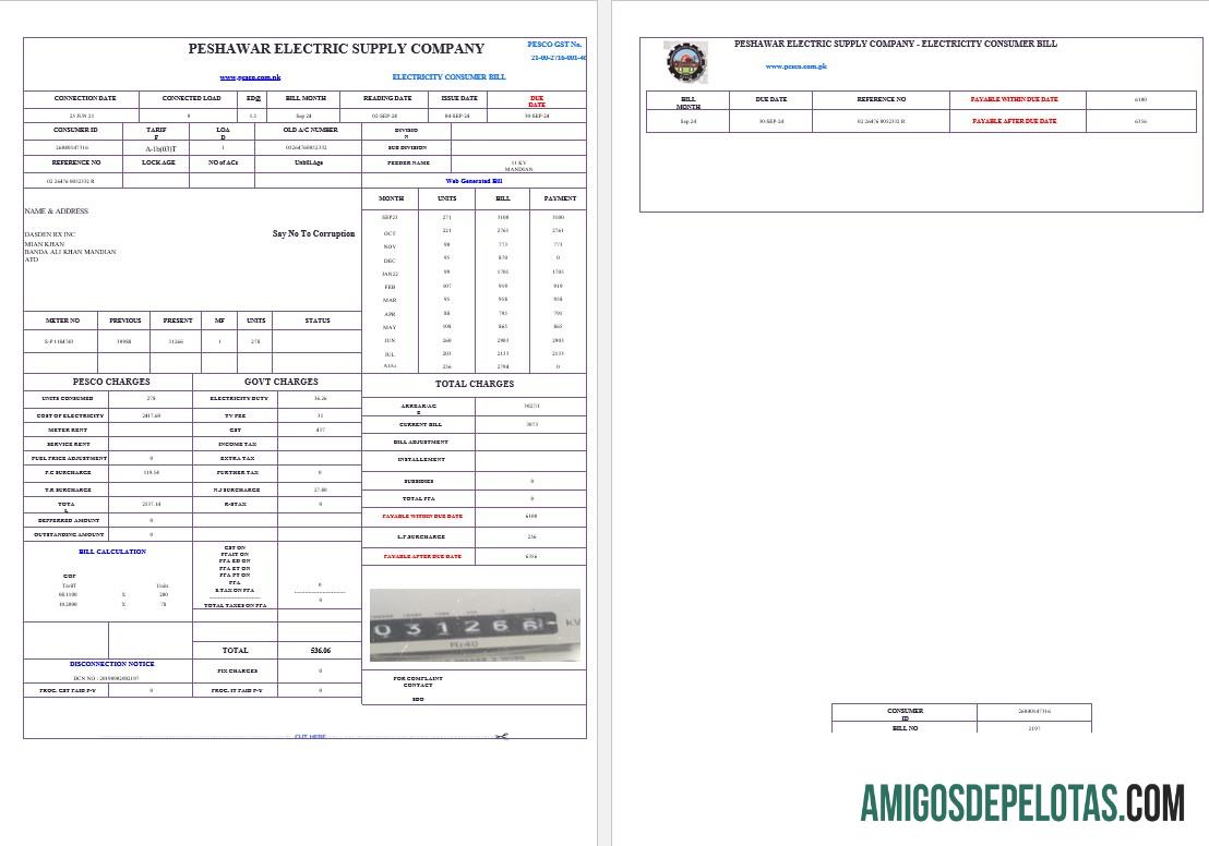 Premium Pakistan PESHAWAR ELECTRIC SUPPLY Perusahaan bisnis Tagihan Tagihan Word and PDF templat