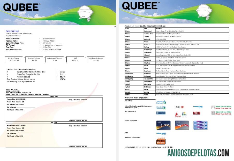 Premium Pakistan QUBEE bisnis Tagihan Tagihan Word and PDF templat