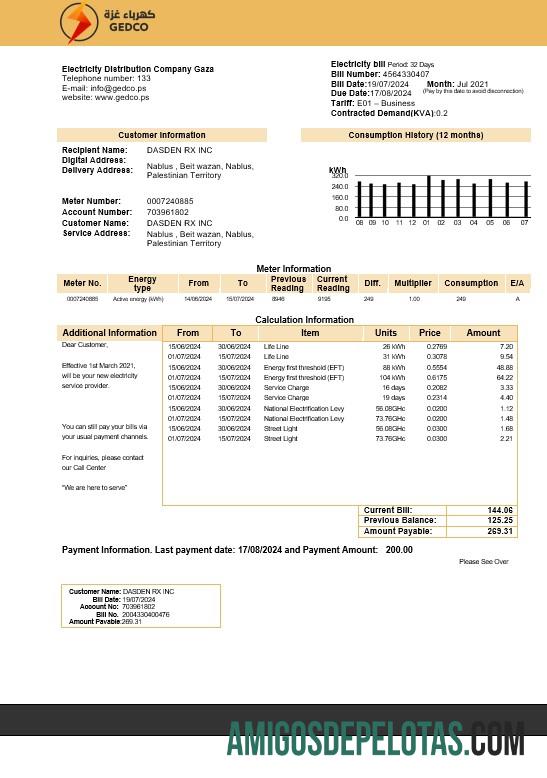 Profesional Palestina Listrik Distribution Perusahaan Gaza (GEDCO) bisnis Tagihan Tagihan templat in Word and PDF format