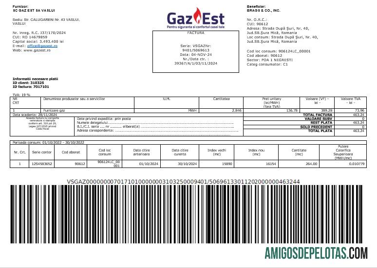Profesional Rumania Gaz Est bisnis Tagihan Tagihan Word and PDF templat