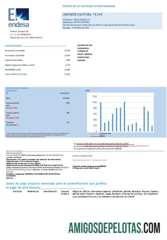 Berkualitas Spanyol ENDESA bisnis Tagihan Tagihan Word and PDF templat pages1