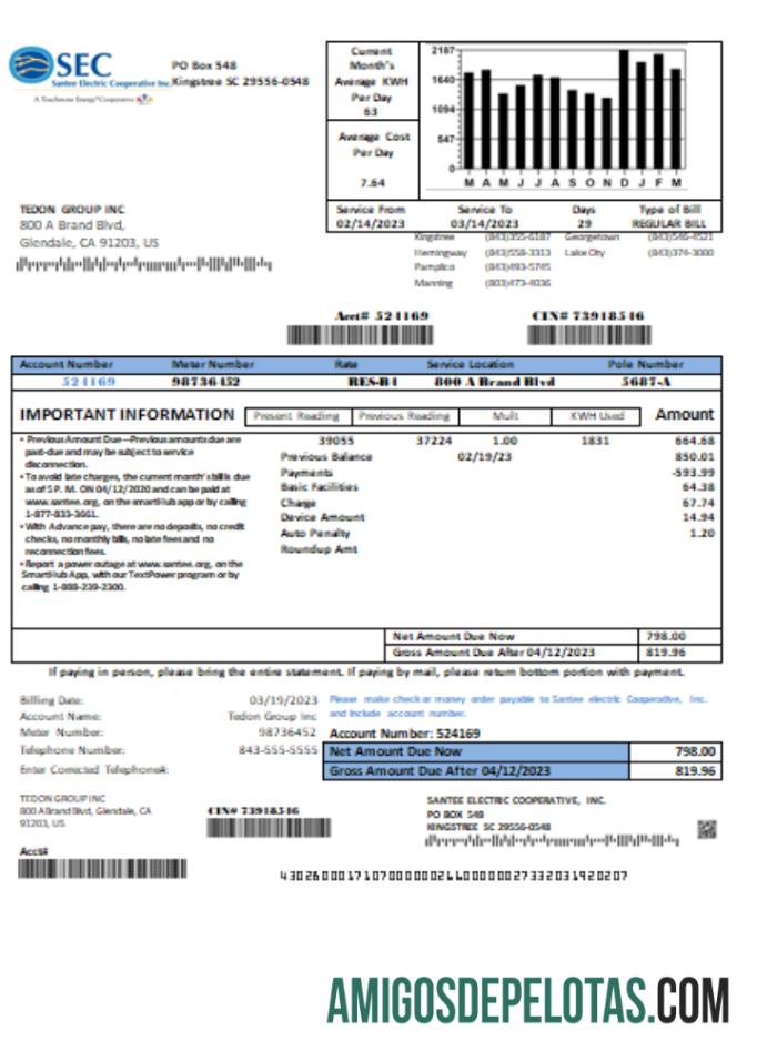 Santee Electric Cooperative Inc (SEC) proof of address Tagihan bisnis Tagihan, SCR sampel