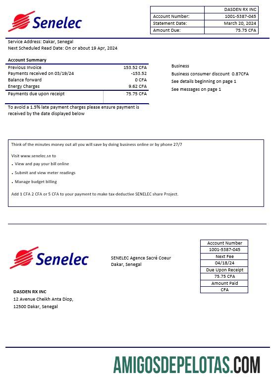 Realistis Senegal Senelec Agence Sacre╠ü Coeur Perusahaan Listrik bisnis Tagihan Tagihan templat in Word and PDF format