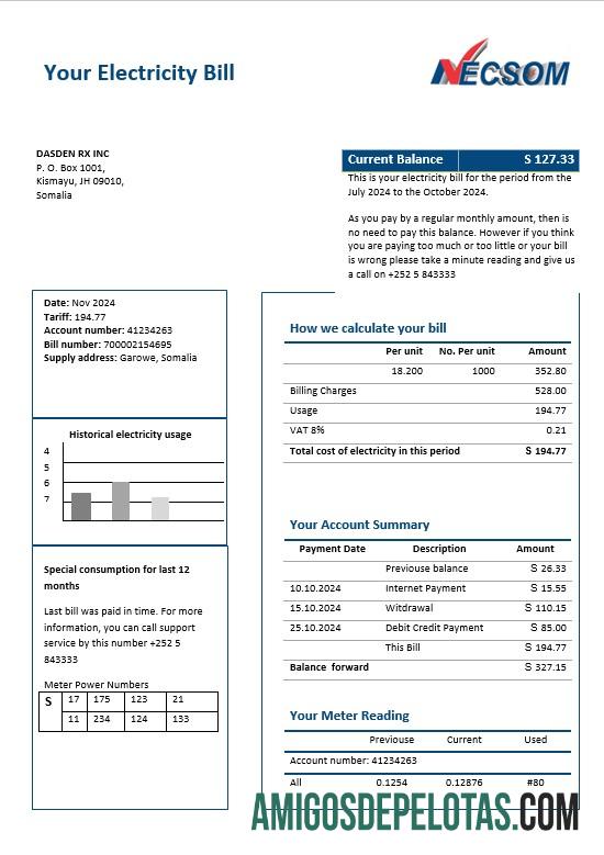 Premium Somalia NESCOM Perusahaan Listrik bisnis Tagihan Tagihan templat in Word and PDF format