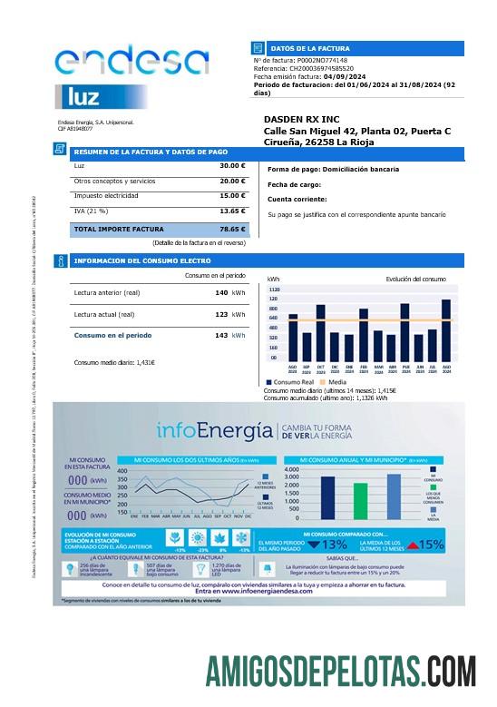 Berkualitas Spanyol Endesa luz bisnis Tagihan Tagihan templat in Word and PDF format