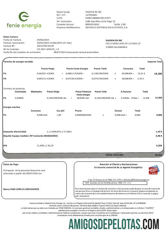 Profesional Spanyol Feni╠üe Energi╠üa bisnis Tagihan Tagihan templat in Word and PDF format