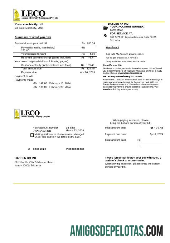 Premium Sri Lanka LECO Perusahaan Listrik bisnis Tagihan Tagihan templat in Word and PDF format