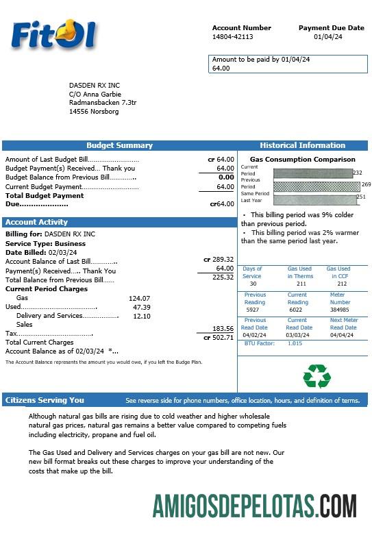 Profesional Swedia Fitol Gas bisnis Tagihan Tagihan templat in Word and PDF format