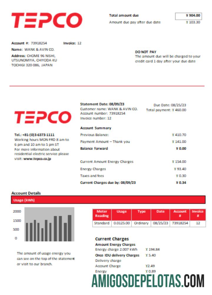 Tokyo Electric Power Perusahaan (TEPCO) Listrik Tagihan bisnis Tagihan, SCR sampel