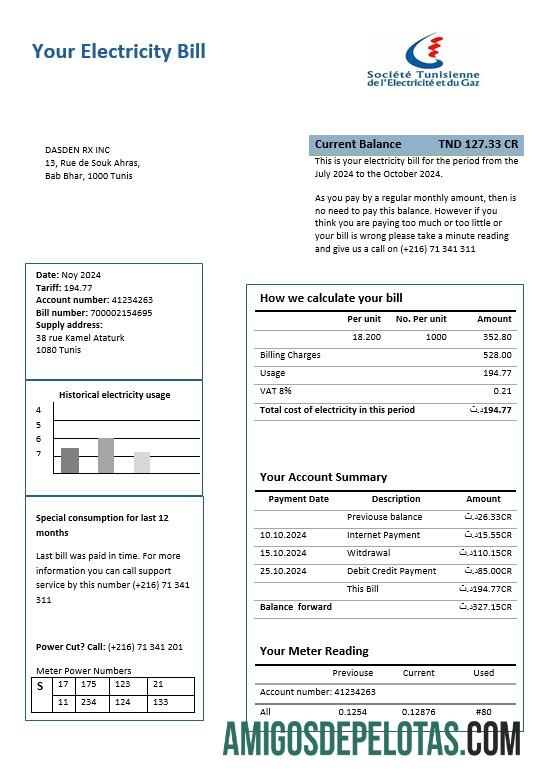 Premium Tunisia Listrik proof of address bisnis Tagihan Tagihan templat in Word and PDF format