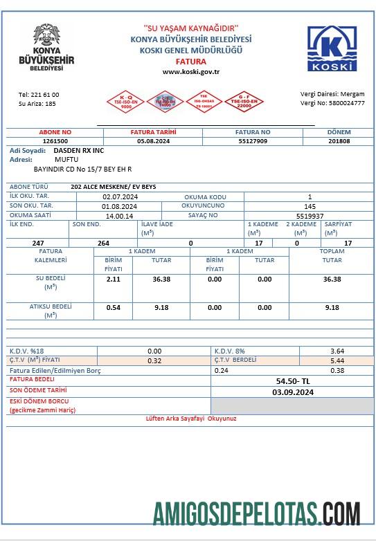 Premium Turki Air bisnis Tagihan Tagihan templat in Word and PDF format
