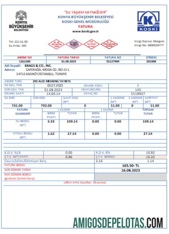 Turki Air Tagihan bisnis Tagihan, SCR desain