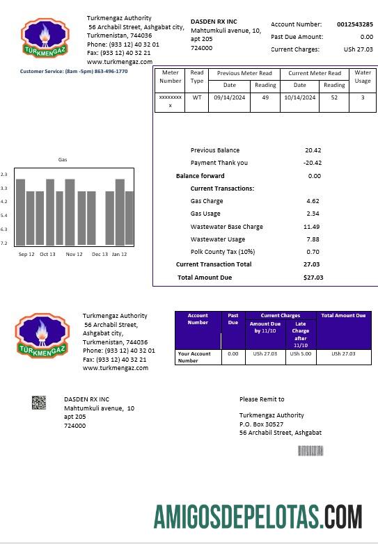 Premium Turkmenistan Turkmengaz bisnis Tagihan Tagihan templat in Word and PDF format