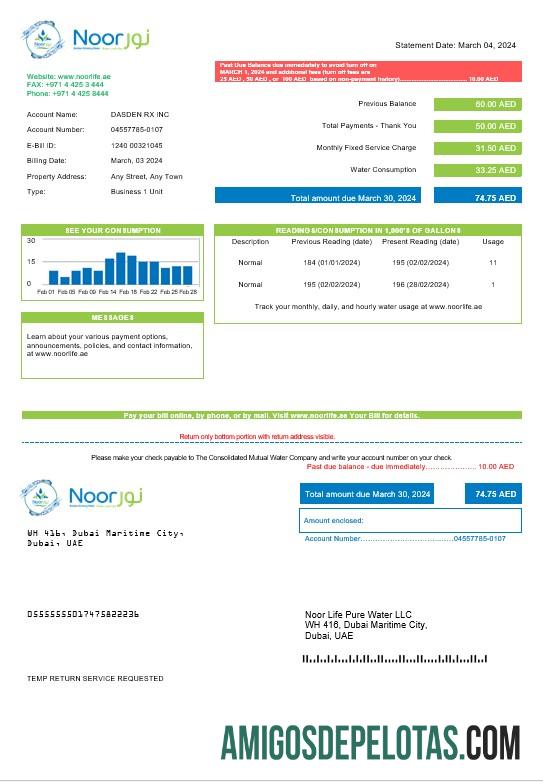 Realistis UEA Noor Life Pure Air LLC bisnis Tagihan Tagihan templat in Word and PDF format